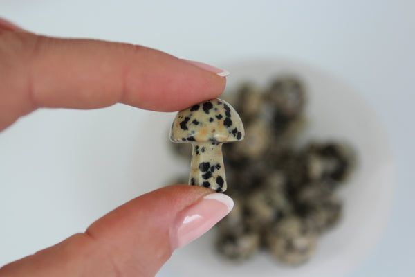 MUSHROOM: Dalmatian Jasper Mini Mushroom - Scene & Stone