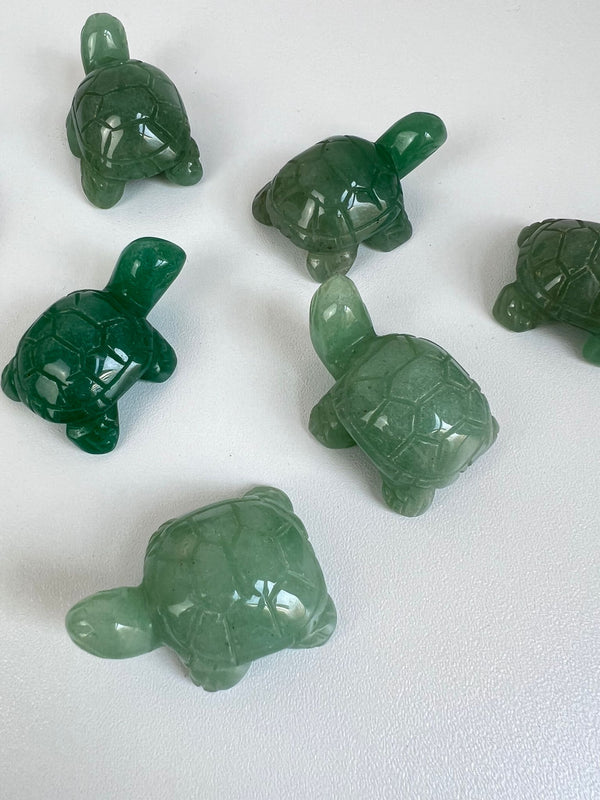 SHIELD: Green Aventurine Turtle - Scene & Stone
